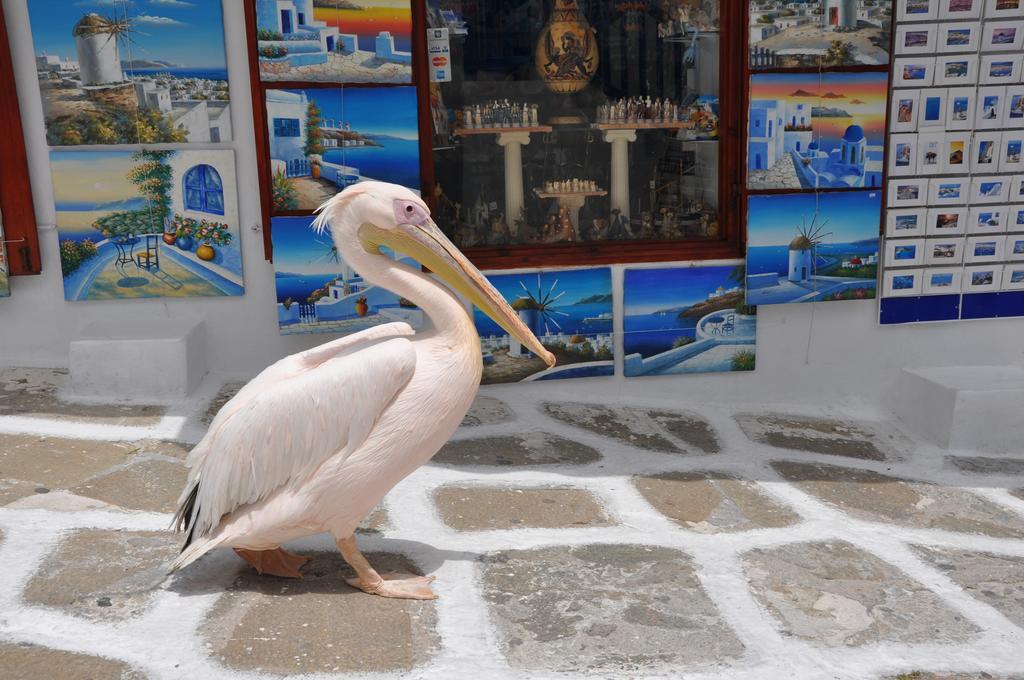 Apartament Bleland Mykonos Mykonos Town Zewnętrze zdjęcie
